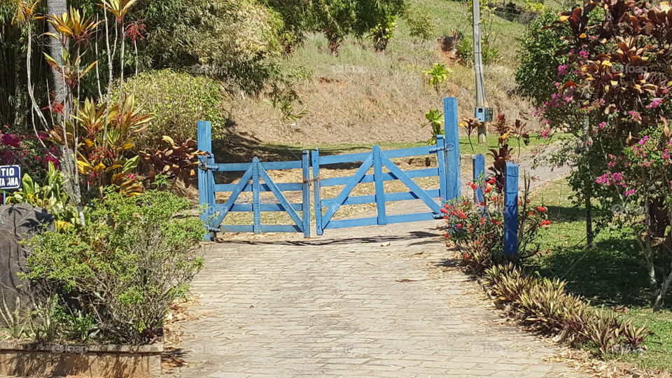 blue gate