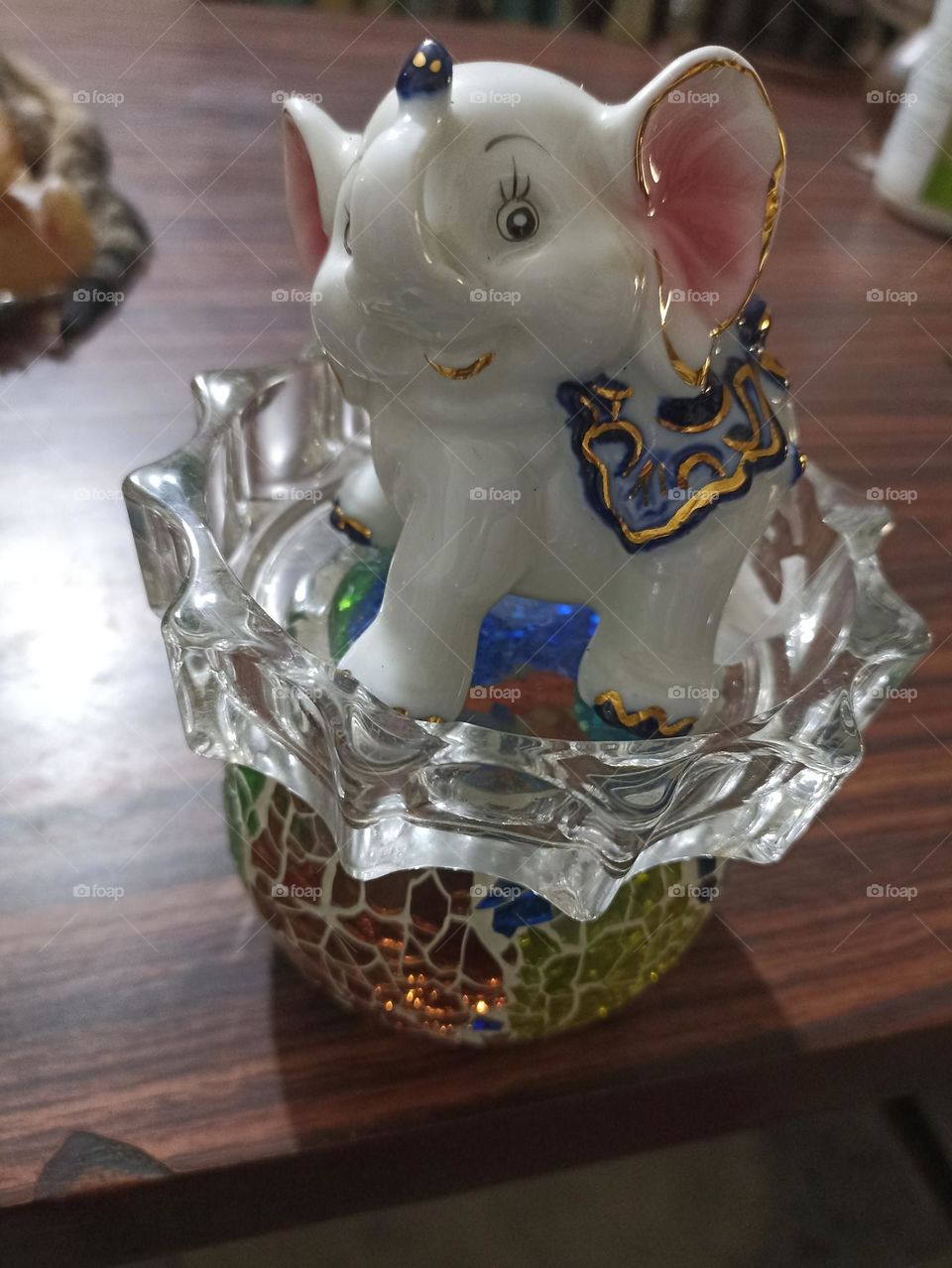 beauty and intelligence in one frame