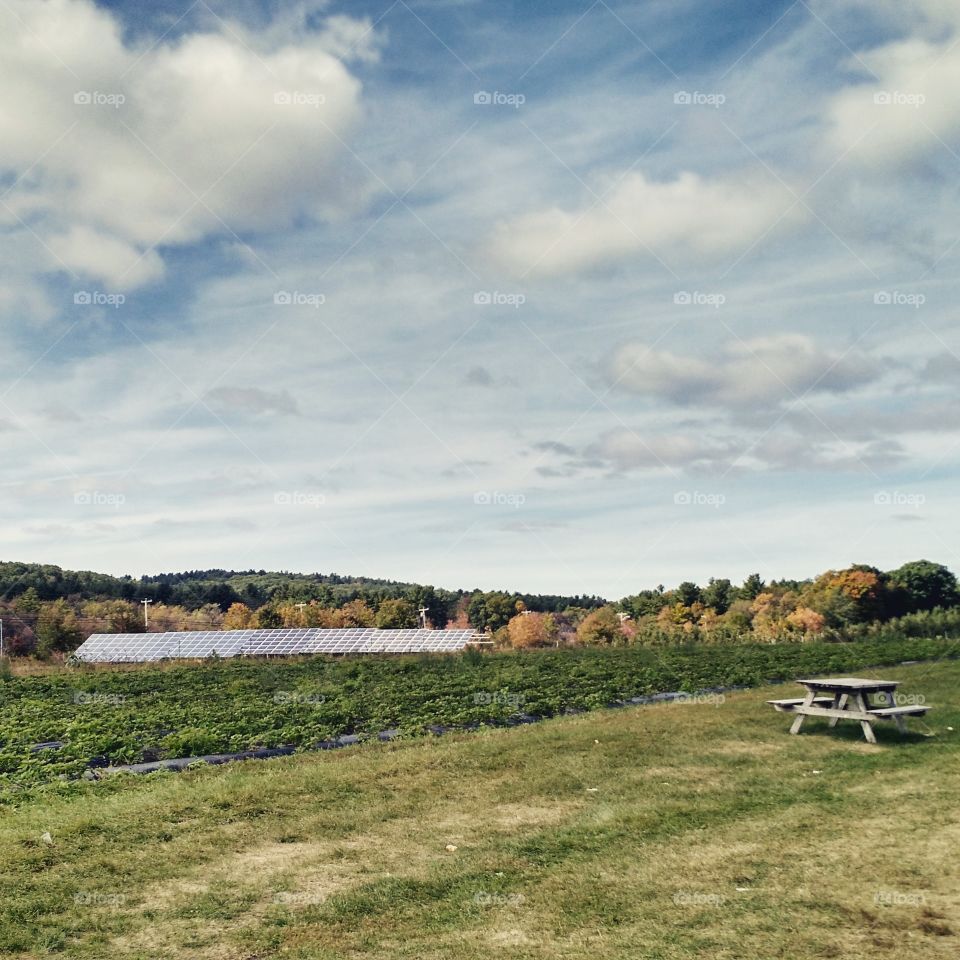picnic table in fall field. A picnic table in a field at an apple farm in northern MA in October