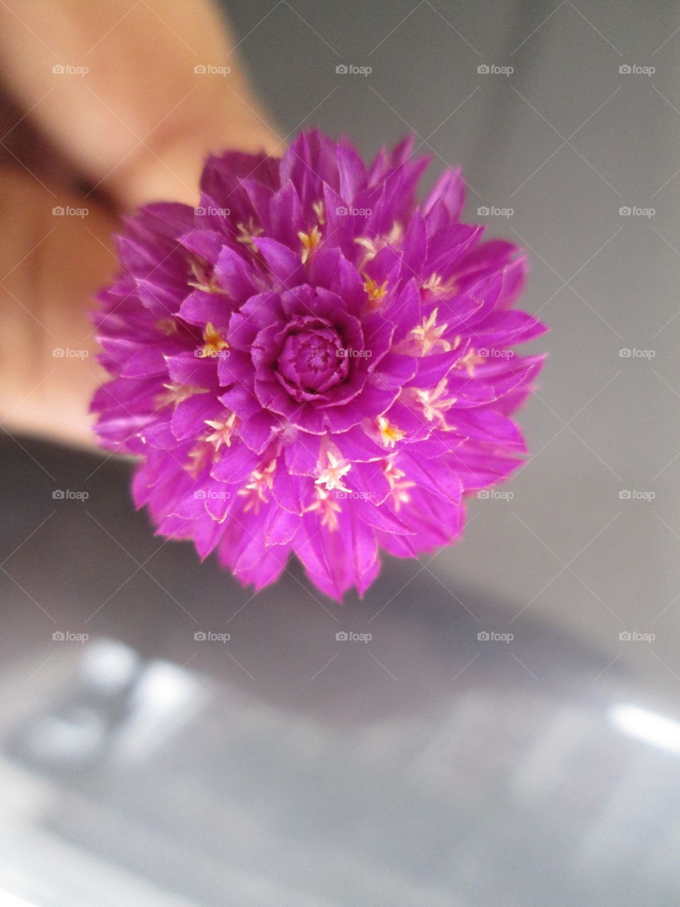 symmetrical!! isn't it!!!!