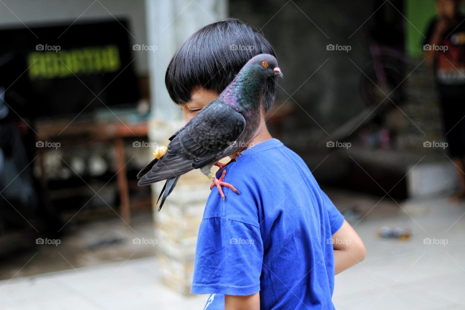 Pigeon on the shoulder.