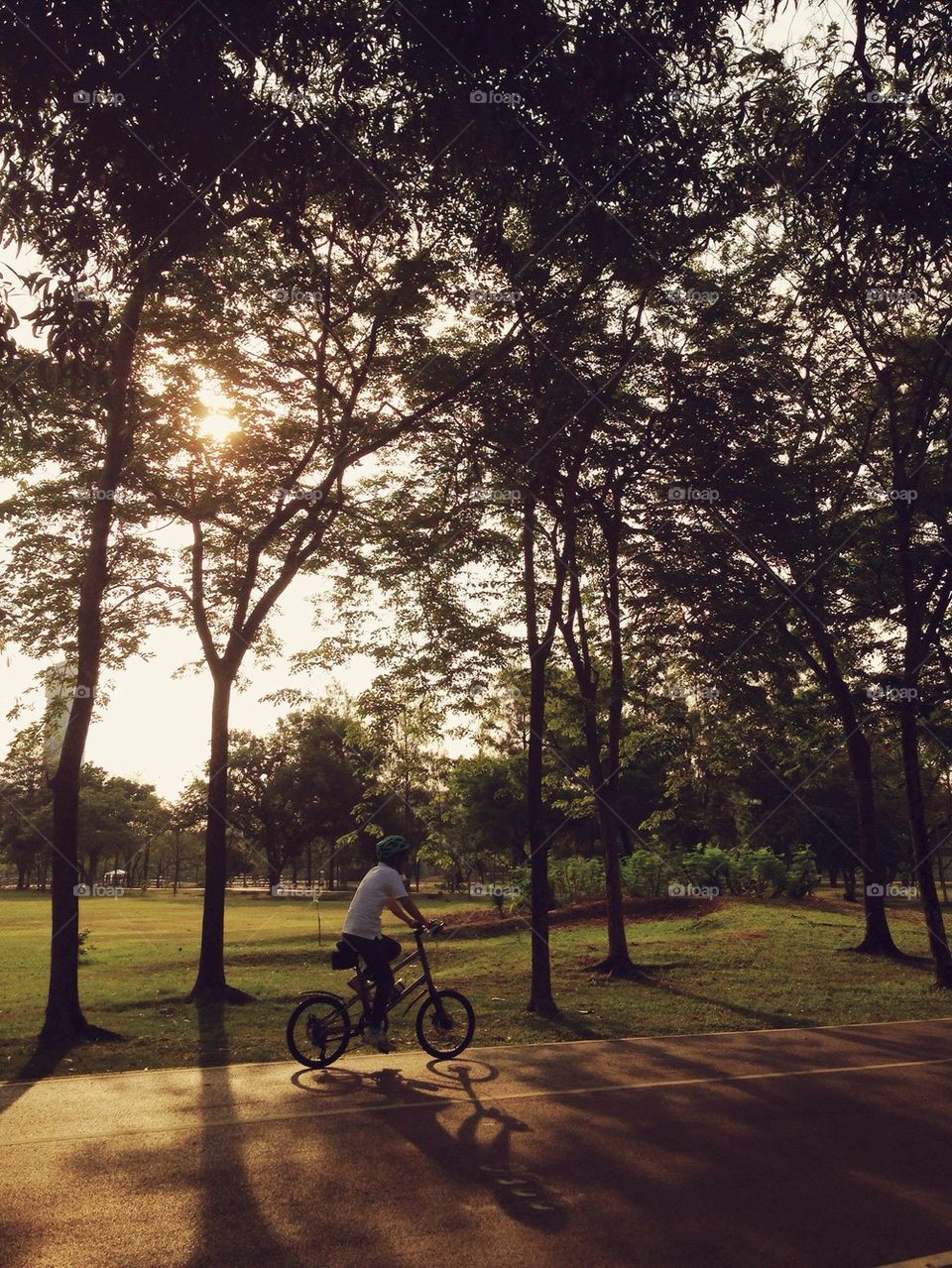 Morning exercise in the park