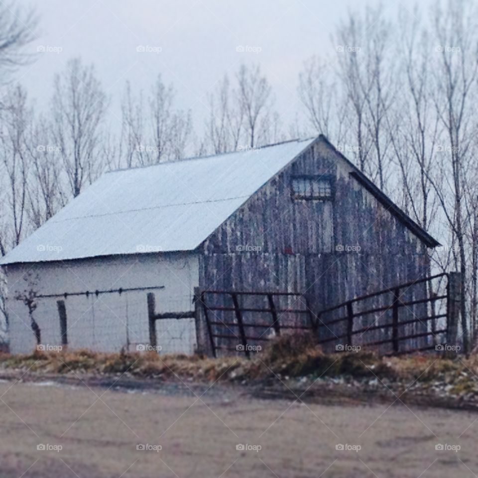 Barn in winter
