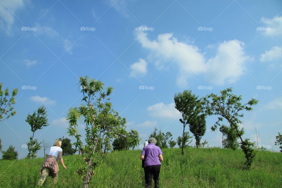 Walk in the countryside
