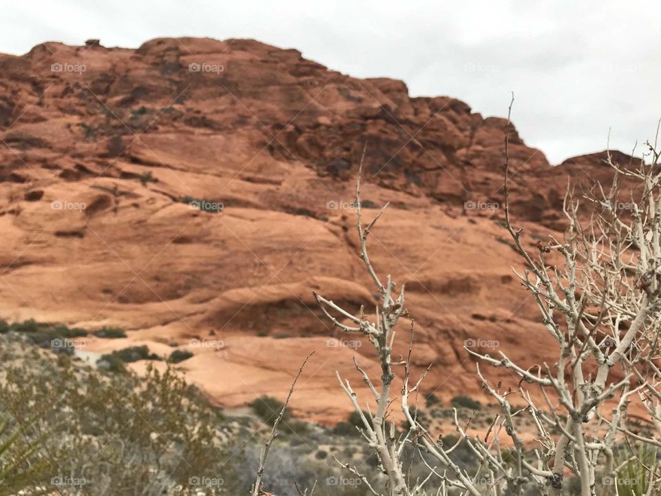 Red Rock