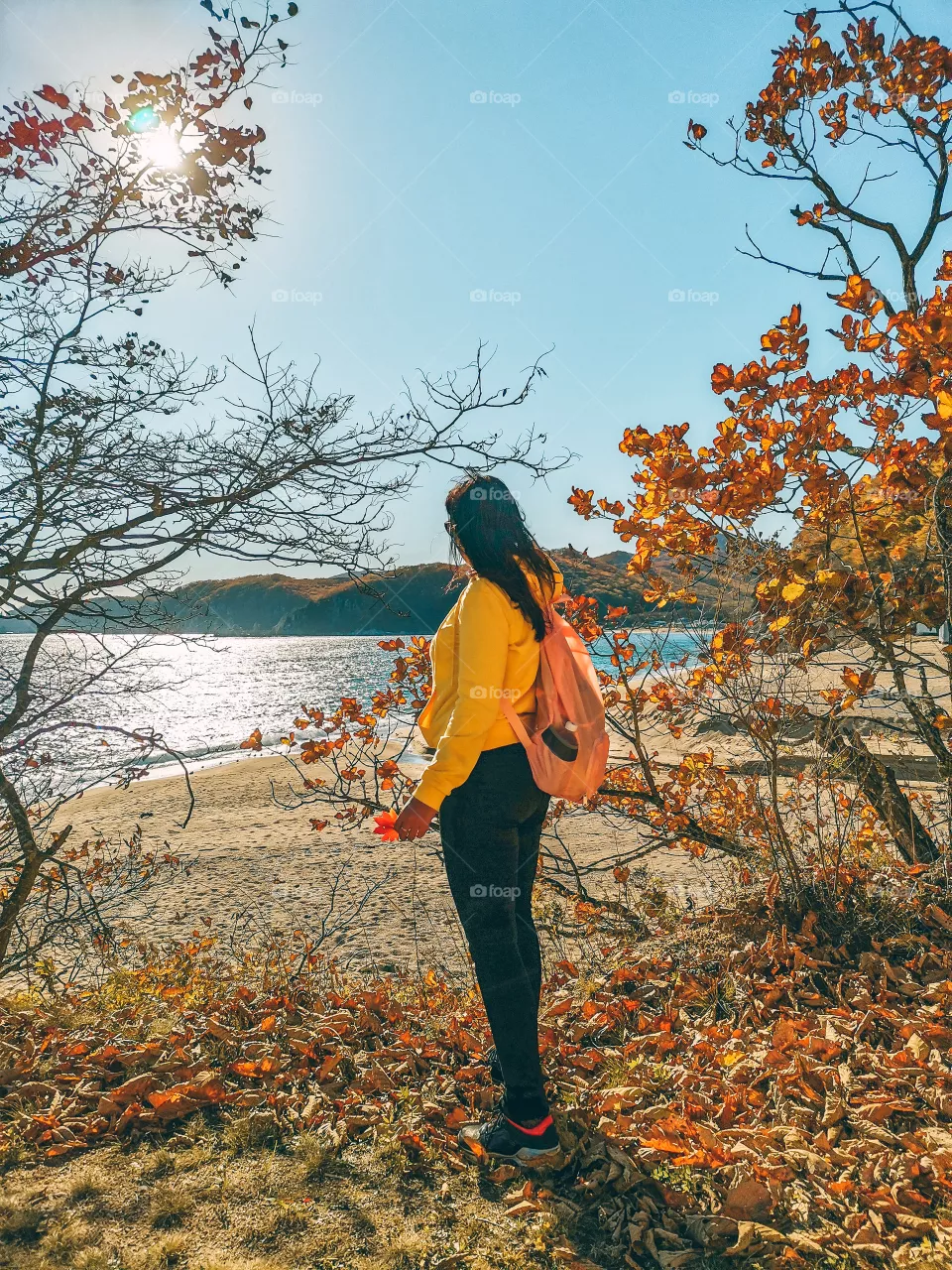 Stop - Autumn