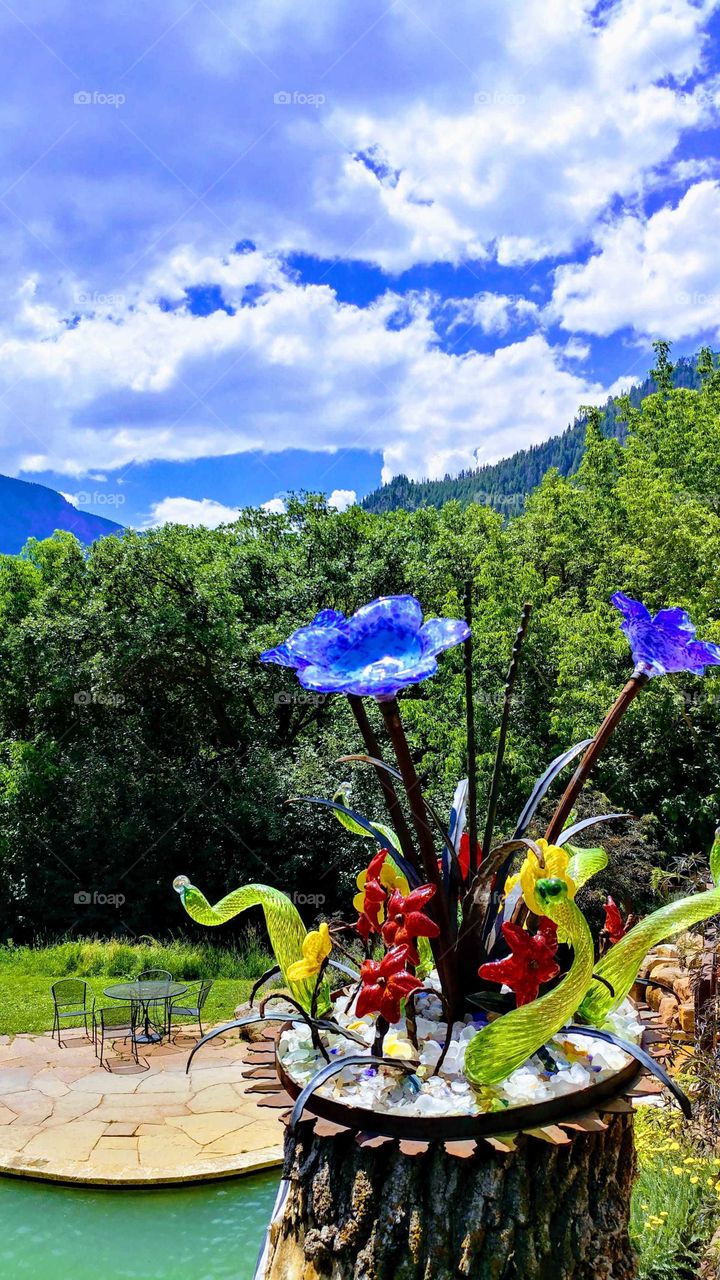 Blue glass flowers compete with a backdrop of Colrado's high country .