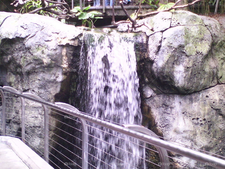 waterfall. I could hear and smell this beautiful waterfall before I walked up to it, found it at the San Diego zoo.