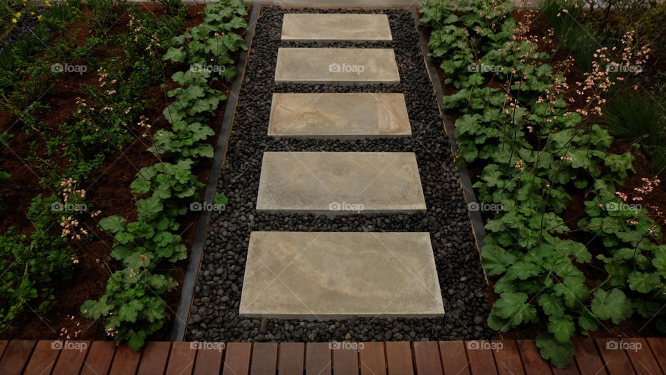 Stepping stone in garden