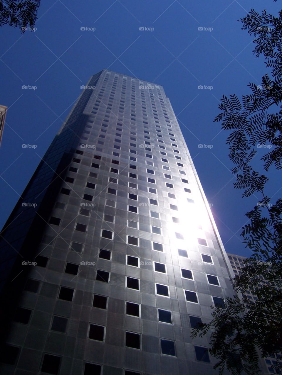 nyc sun building reflection by delvec