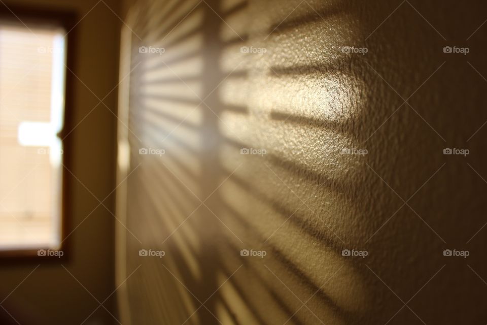 Sun through the blinds