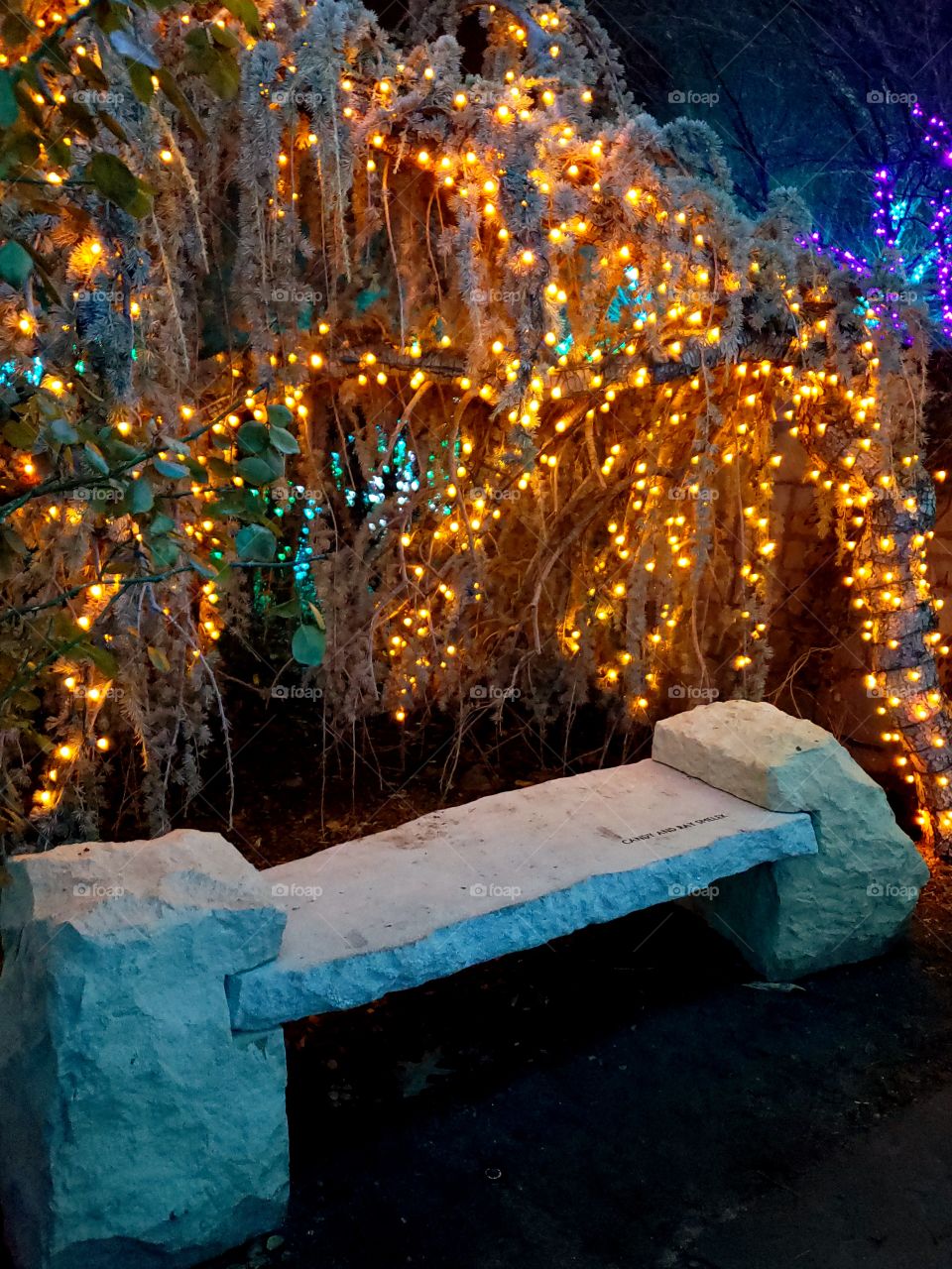 bench in winter garden