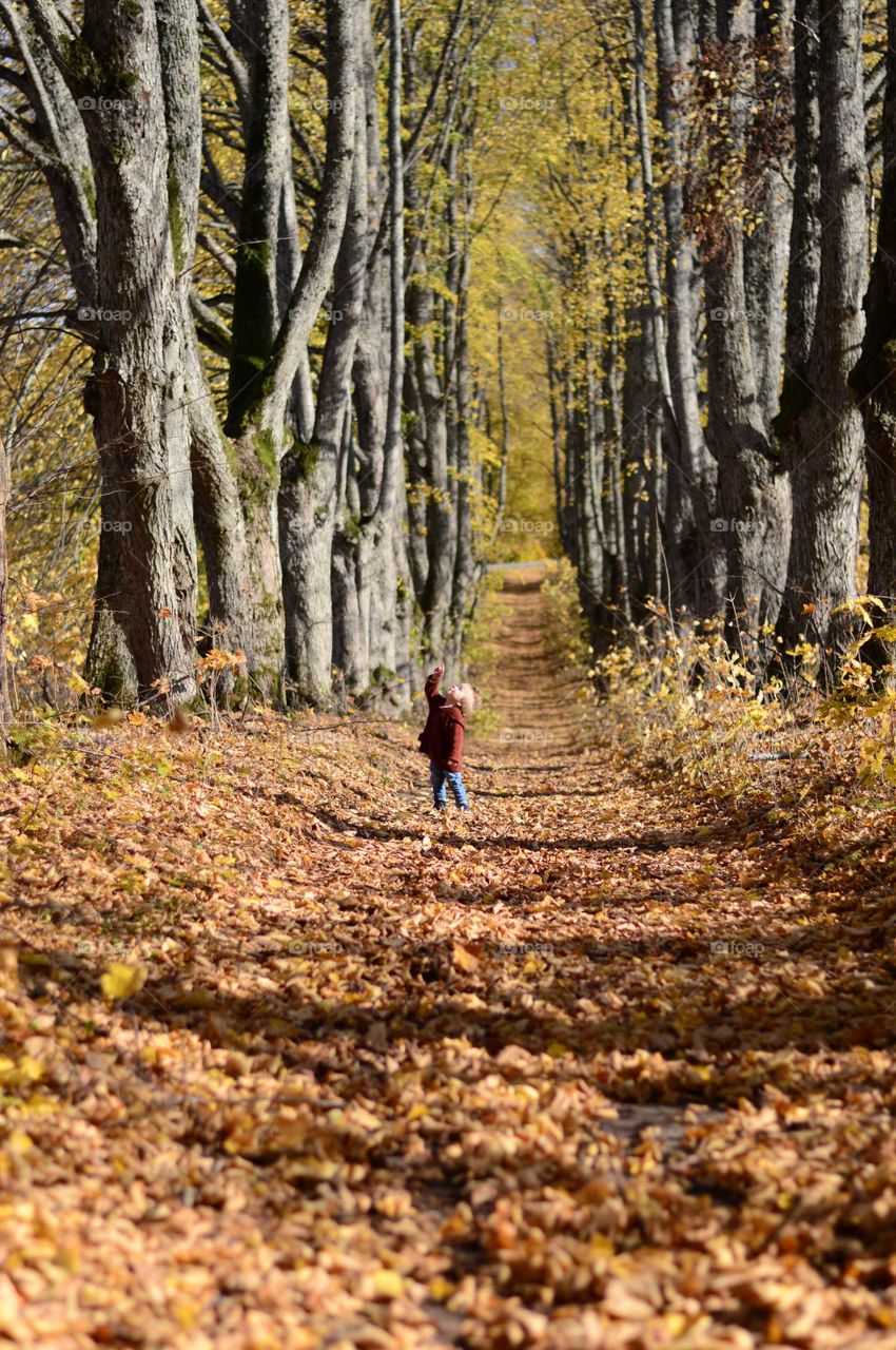 Boy in the autumn alley