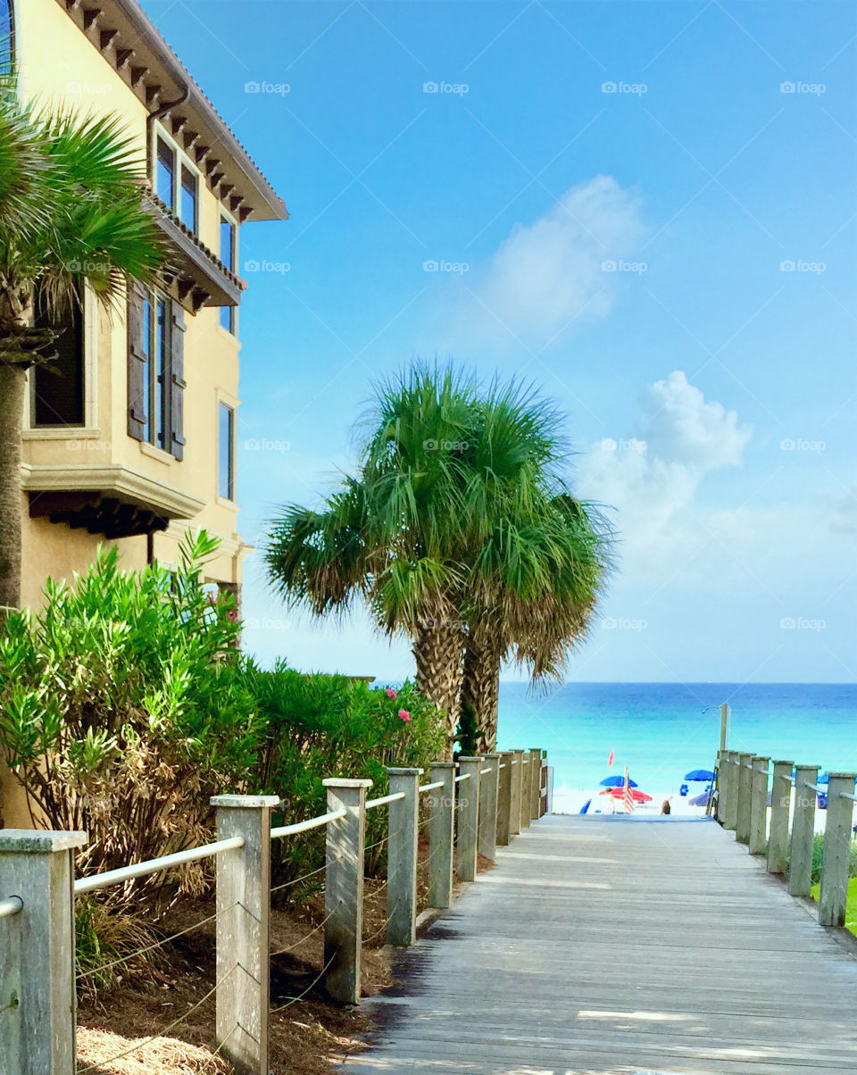 Pathway to the ocean 
