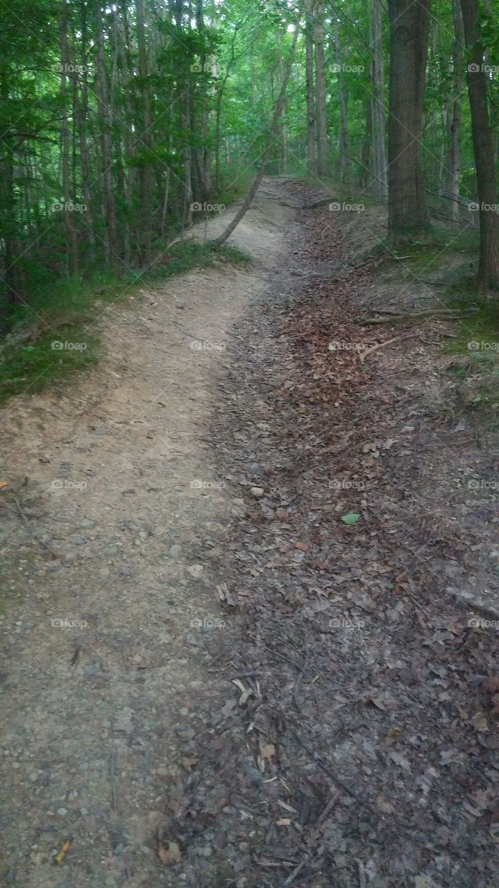 trail