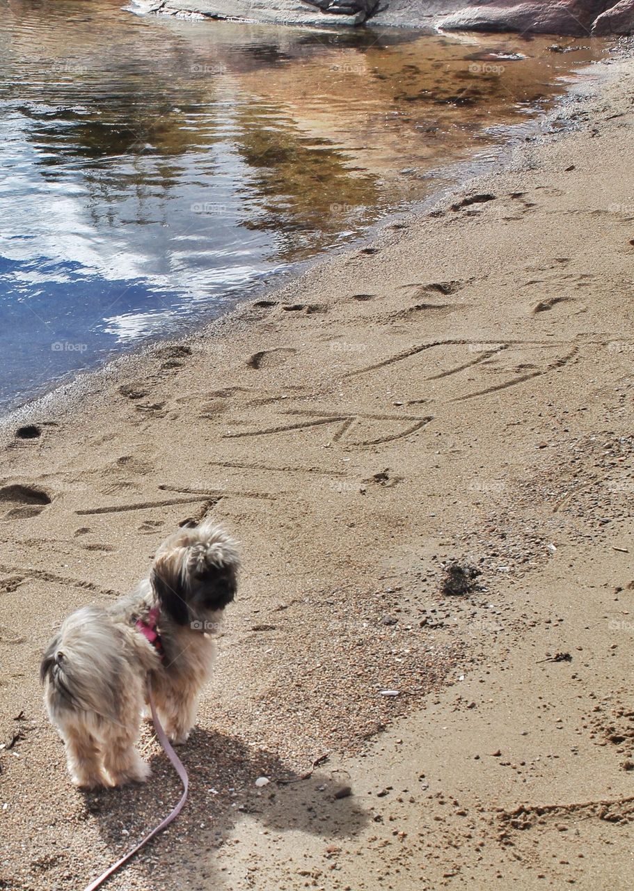 Mille on the beach