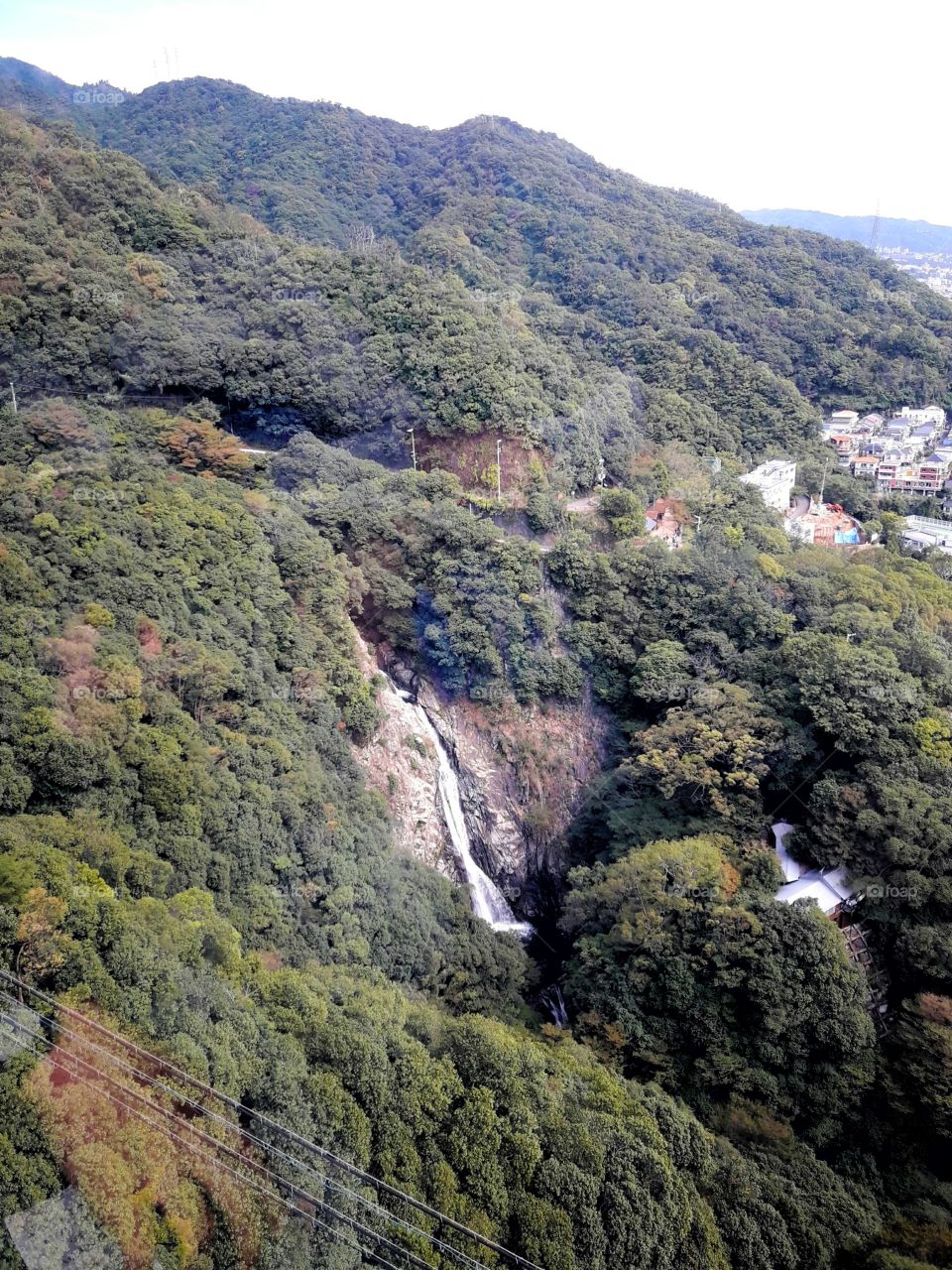 Mountains, forest, sky