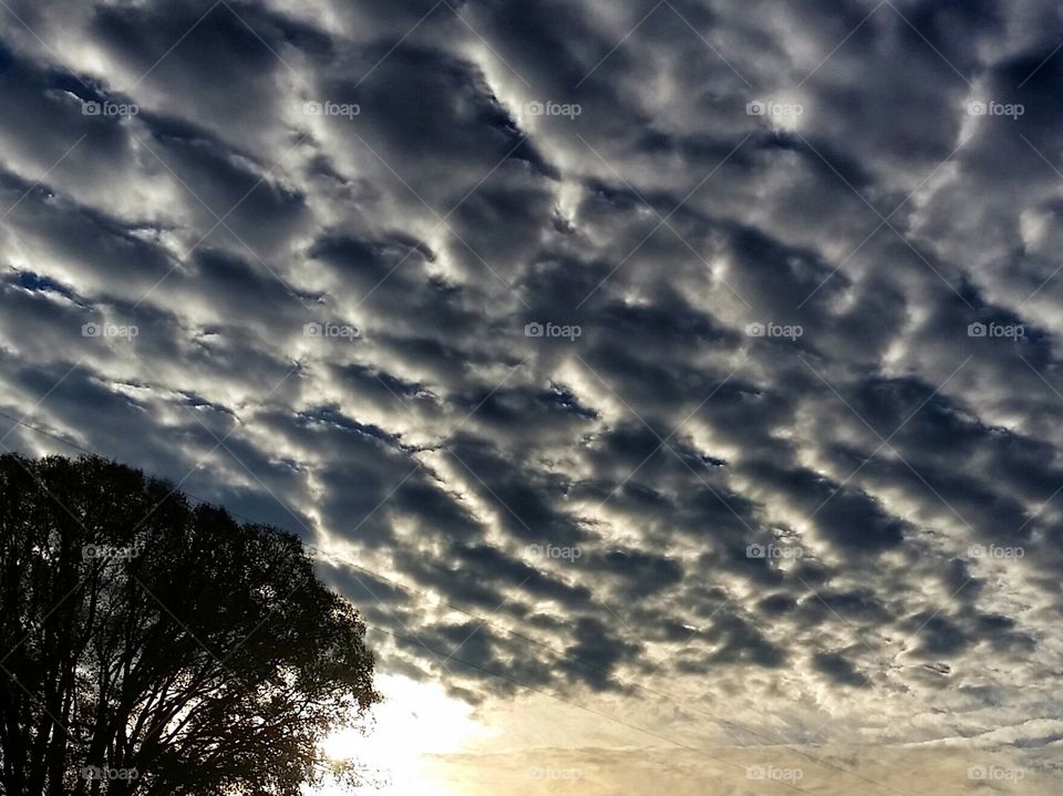 Sky. Pretty Sky at sunrise.