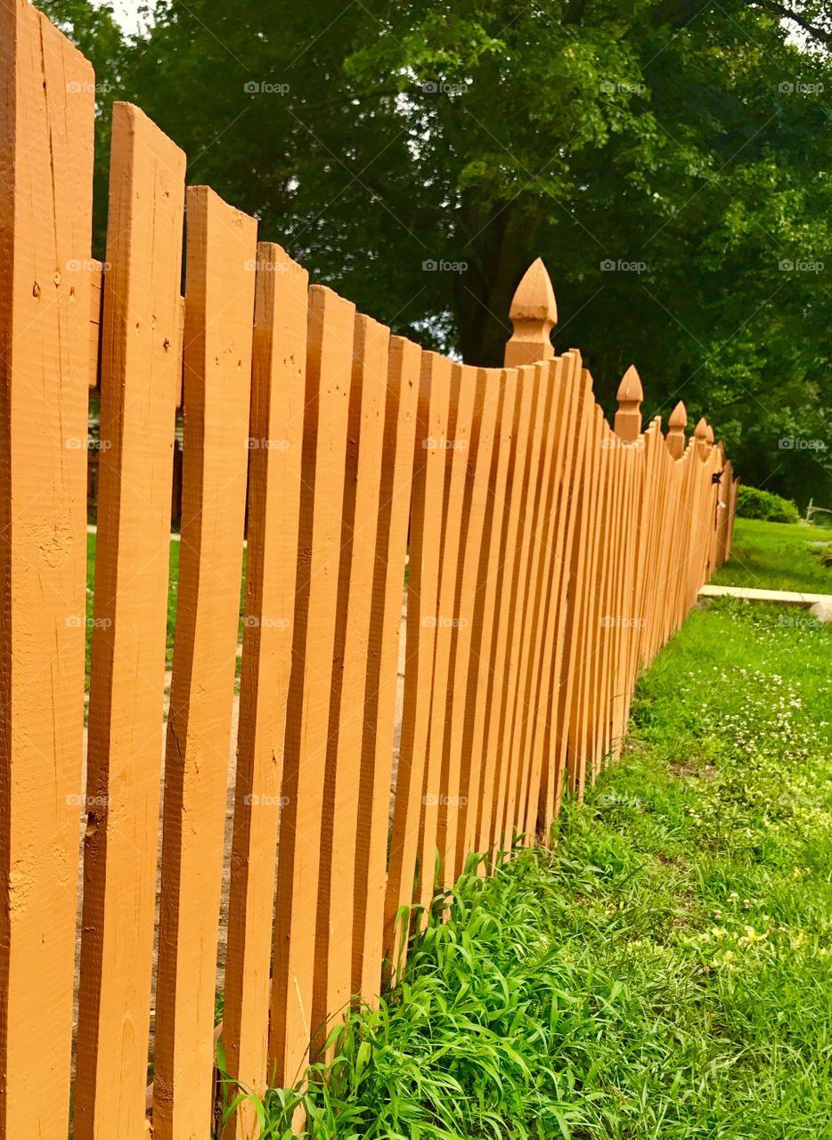 Side View Orange Fence