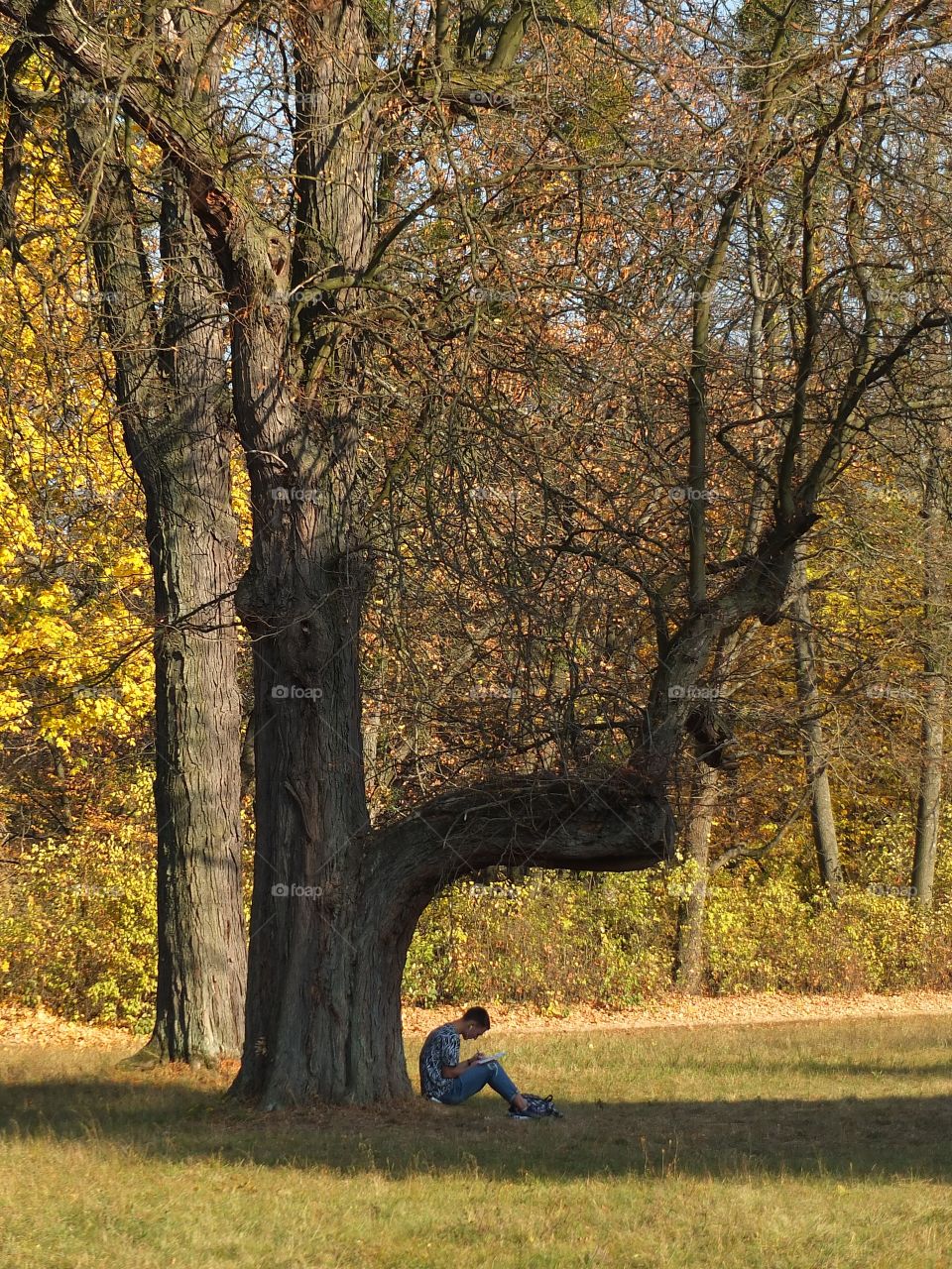 Horizontal captures. A guy sitting under a tree and writes or draws. autumn is the time to create.