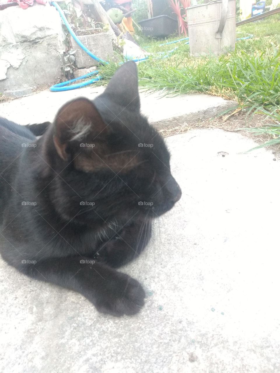 Editors' Choice - Photo of the Week!