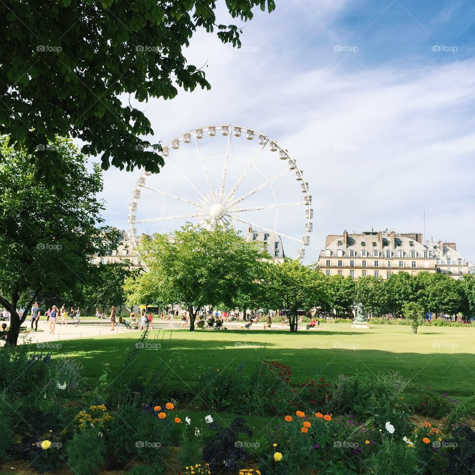 View of the Ferris wheel from outside the Louvre museum in Paris