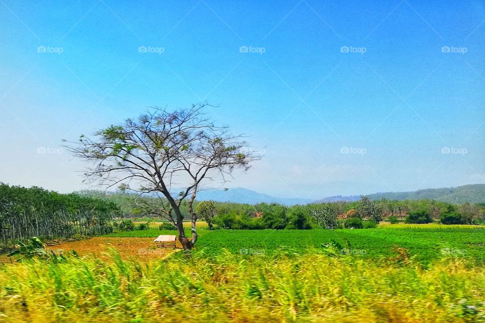 picture was taken from inside of the moving train