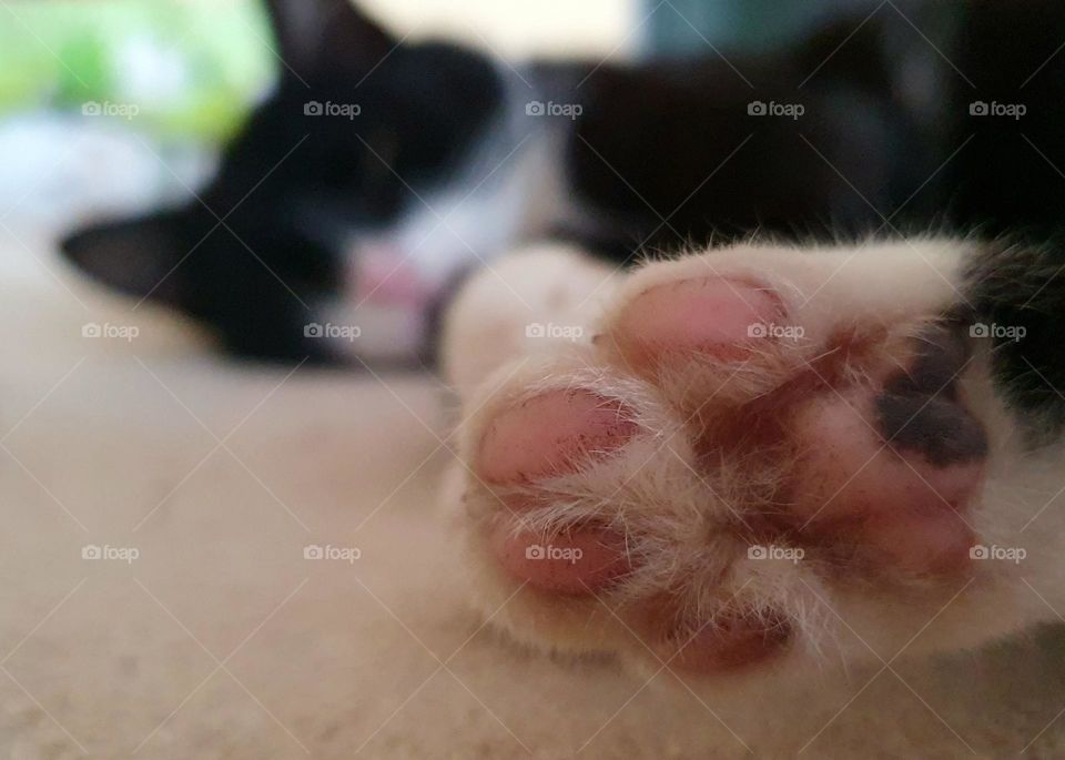 With your feet forward