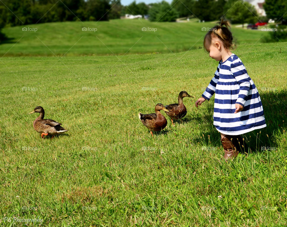 Cute girl playing with duck in park