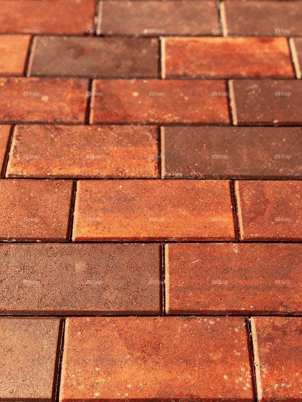 Brick walkway, brick pattern, bricks on a path, real bricks, bricks of Ohio 