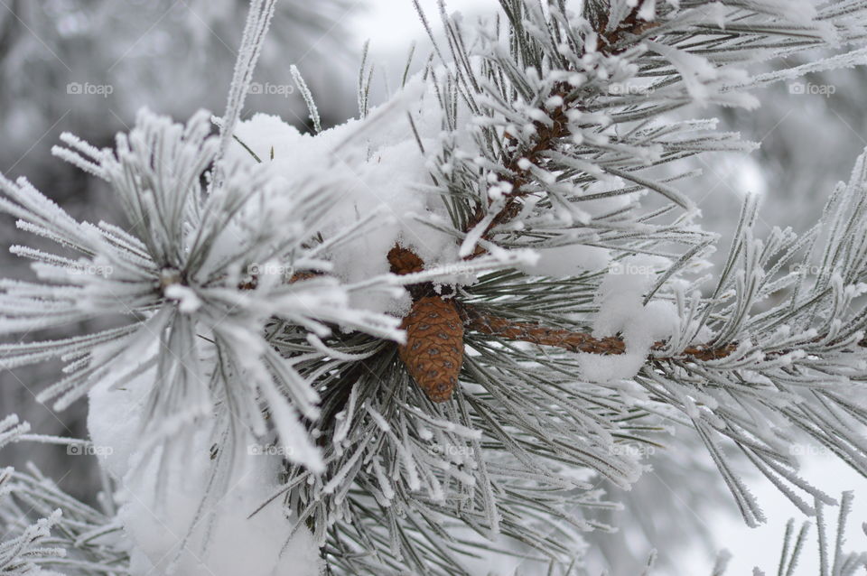 winter stories