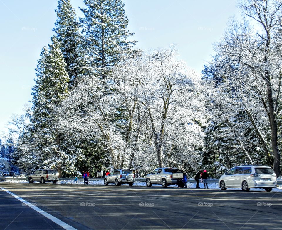 winter time in the Sierras
