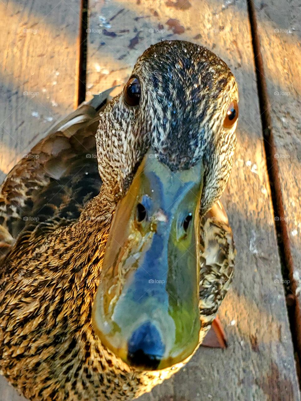 up close and personal