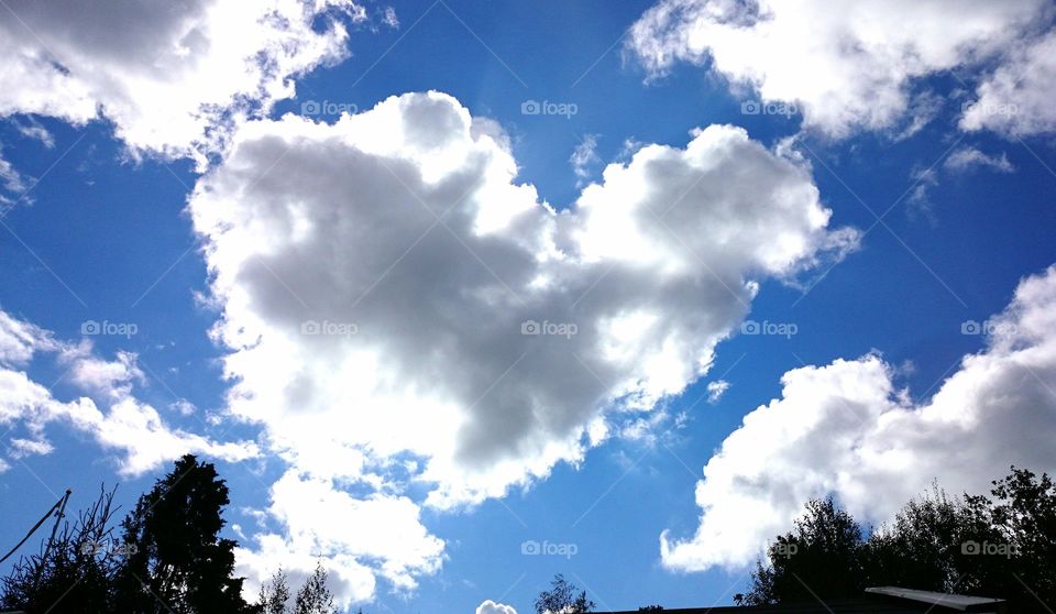 White heart cloud on a blue sky