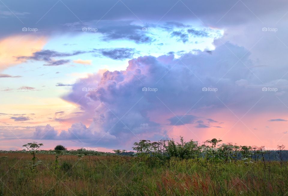 Sunset nature landscape 