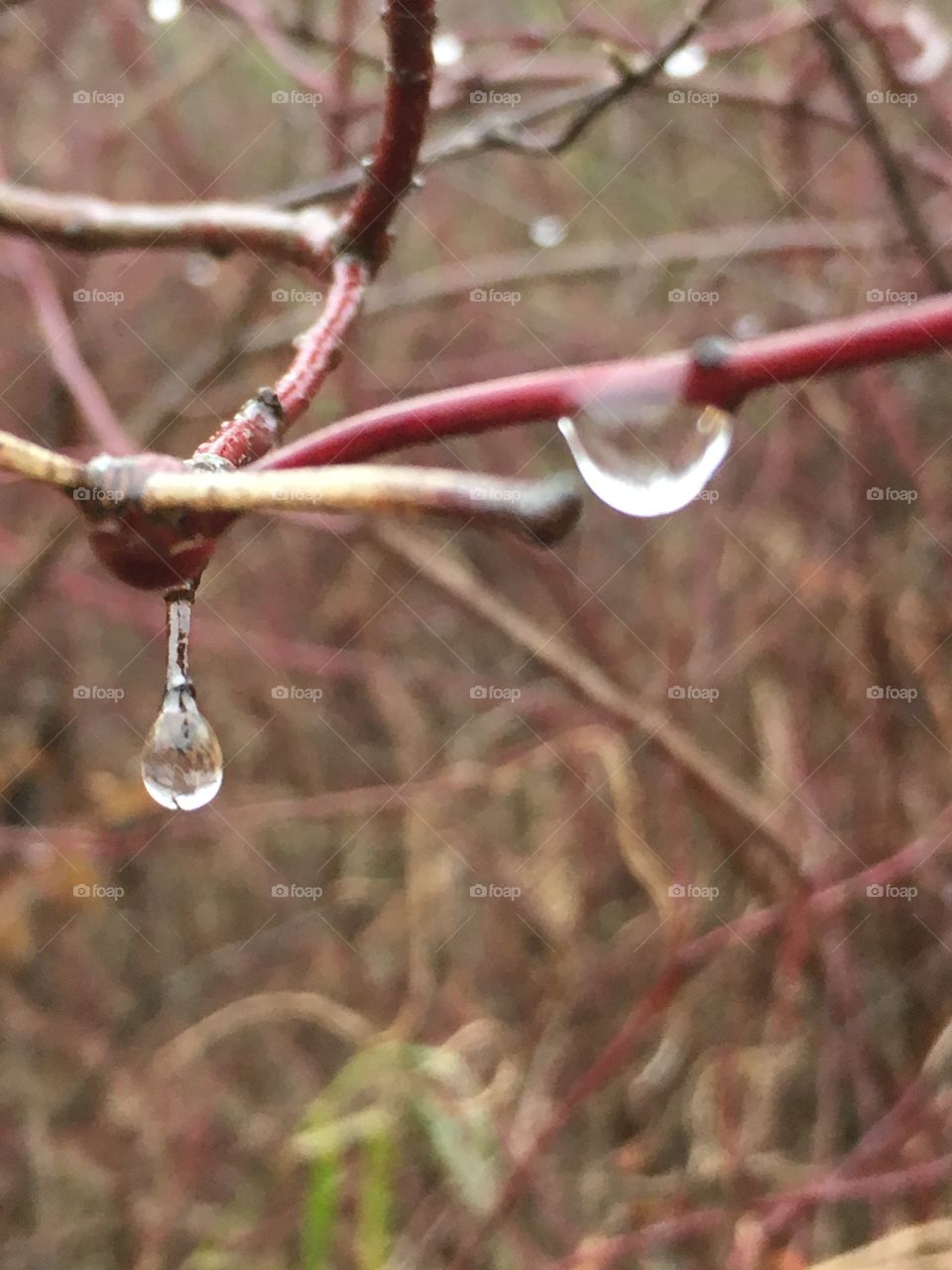 Frozen droplets 