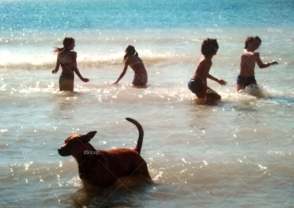 playing children in the water