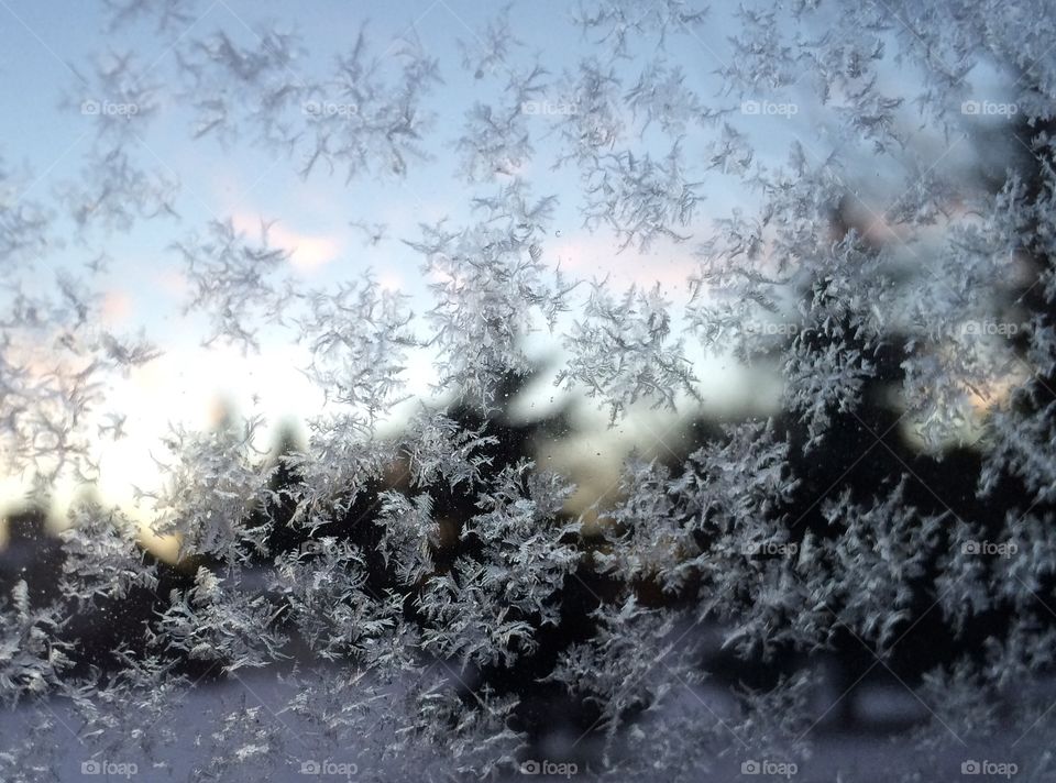 Frost on window