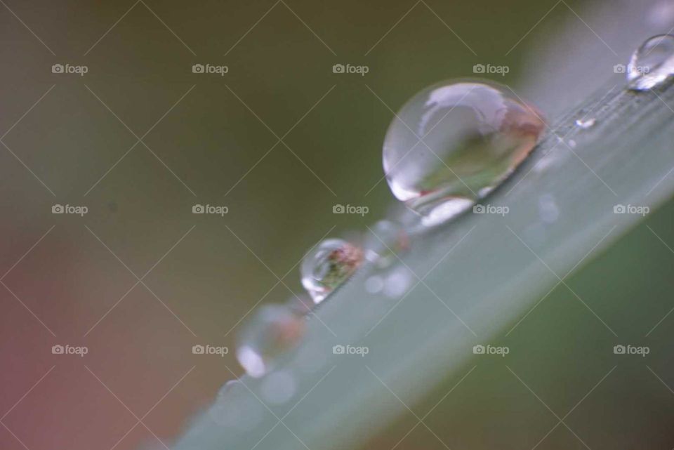 Water#drops#leave