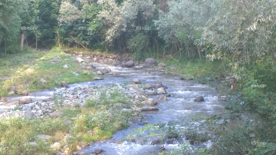 Stream, Water, Nature, River, Landscape