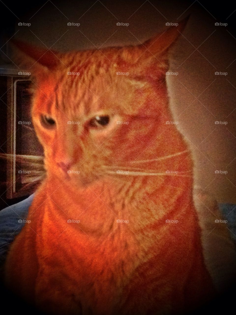 A Moment of Reflection