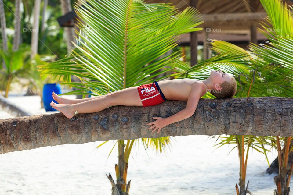 boy chilling on a palm tree