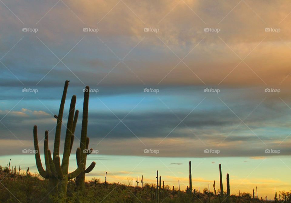 the desert and clouds