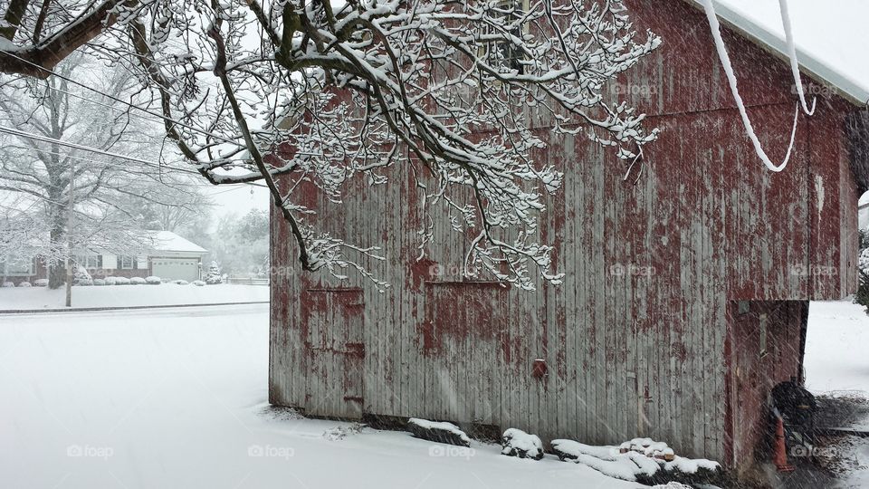 my barn. snowy day in PA