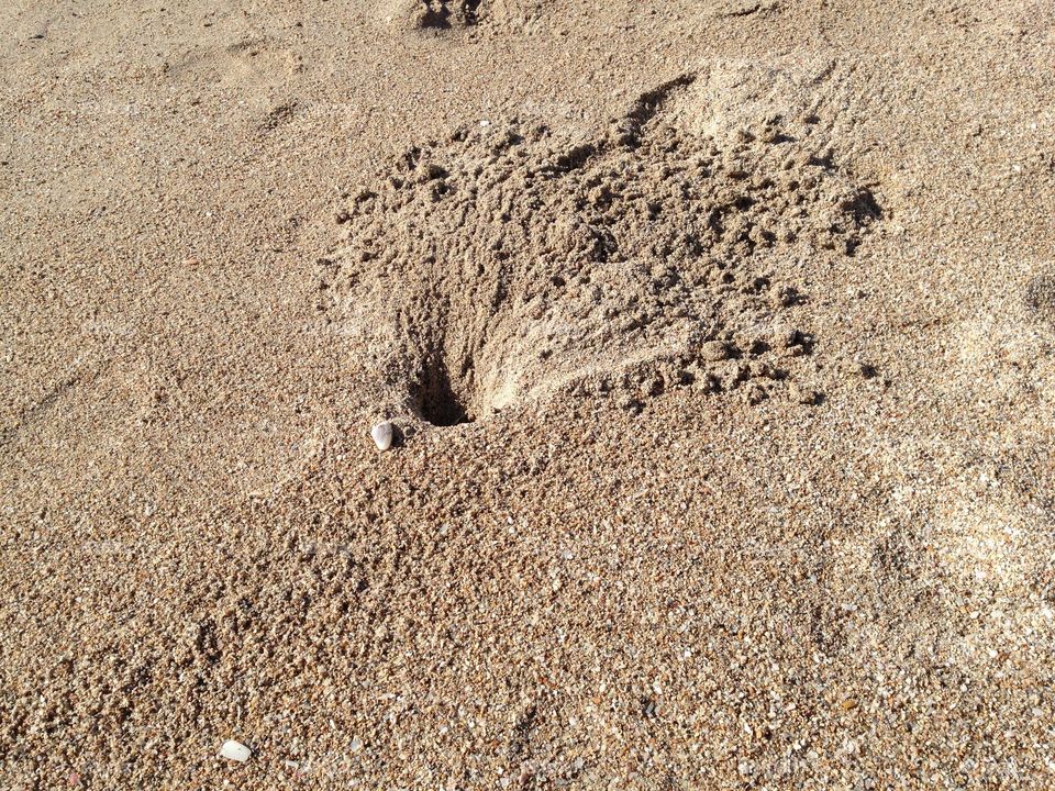 Crab Hole