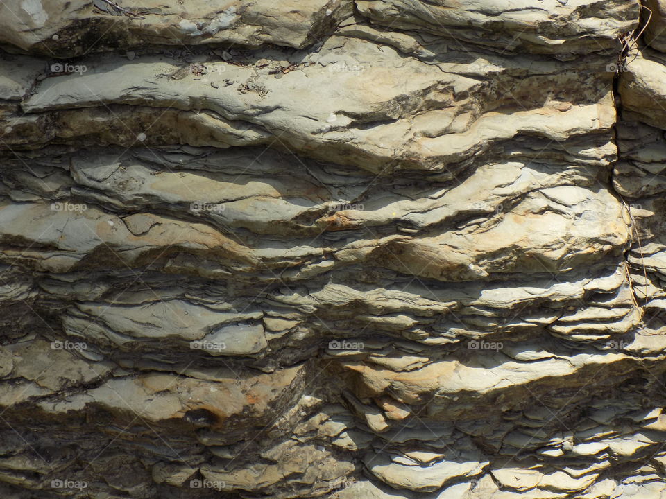 The foot of the aceh halimon