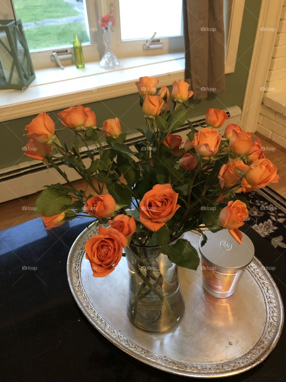 orange rose 
