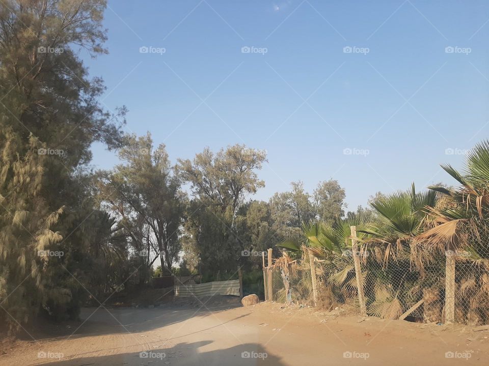 Please make me happy, I am poor, I need your help with support