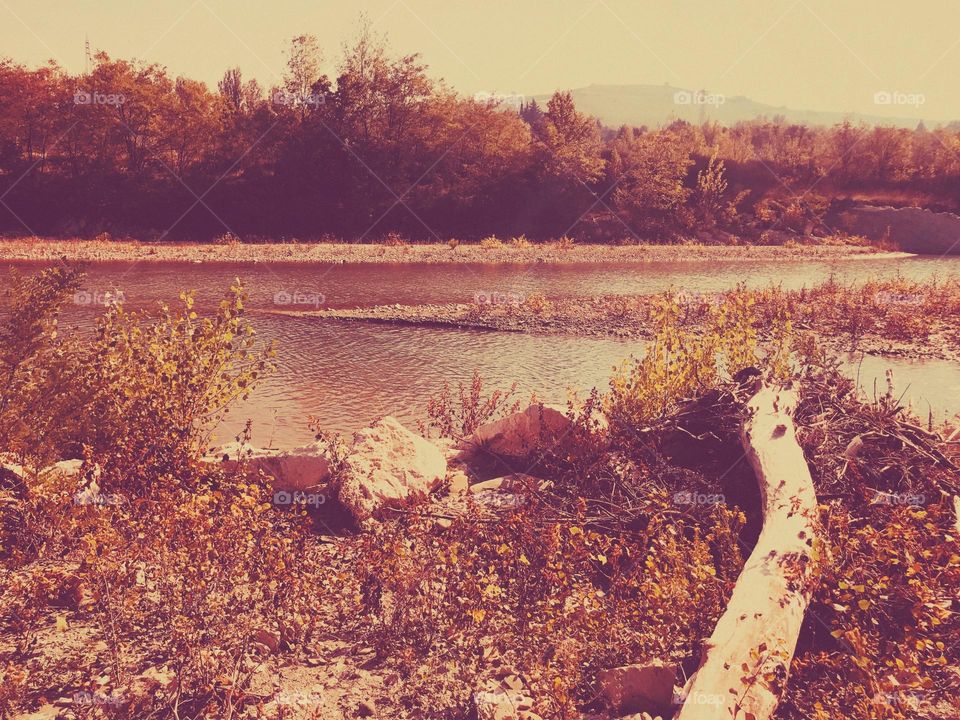 autumn colors on the river,
a fallen tree on the bank of the river