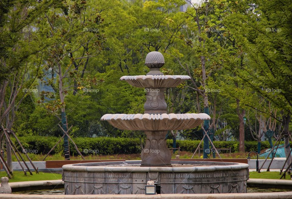 fountain surrounded by greenery